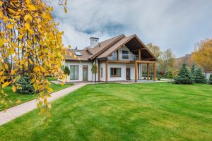 Choosing the Right Tree Care Services: Tips for Homeowners