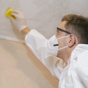 Unveiling Health Risks of Mouldy Ceilings & Walls