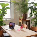 The Best Plants to Put In Your Office For An Eco-Friendly Office Interior Design