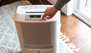 How to Choose the Right Dehumidifier for Your Home in Virginia